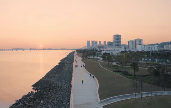 momo-bike青春少年，与风比速